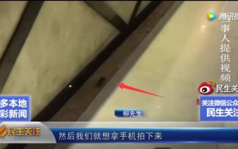 石家庄一餐厅惊现老鼠！经理：老鼠存在几千年了，人类拿它没办法