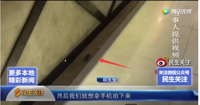 石家庄一餐厅惊现老鼠！经理：老鼠存在几千年了，人类拿它没办法
