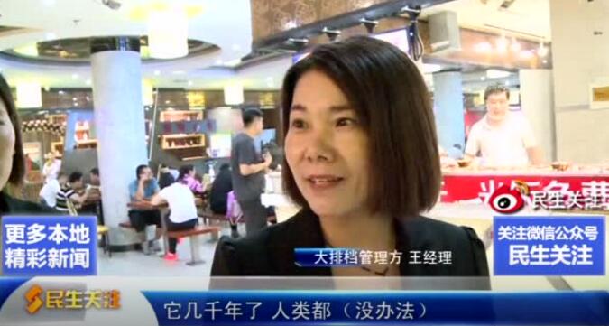 石家庄一餐厅惊现老鼠！经理：老鼠存在几千年了，人类拿它没办法