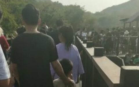 石家庄动物园急死人了 看了照片你还去吗？