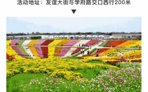 别被朋友圈图片骗了 石家庄农耕时代的2018国际庄香菊文化展游记
