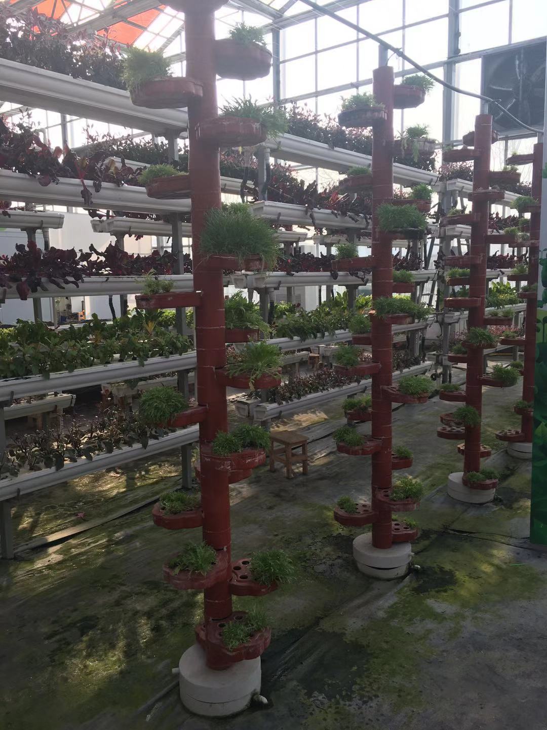 石家庄带孩子去哪儿玩？青少年现代农业体验中心游玩攻略